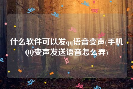 什么软件可以发qq语音变声(手机QQ变声发送语音怎么弄)