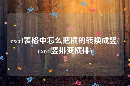 excel表格中怎么把横的转换成竖(excel竖排变横排)