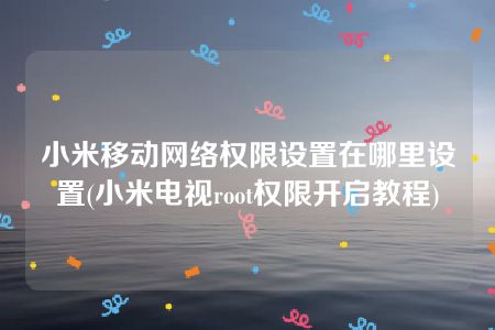 小米移动网络权限设置在哪里设置(小米电视root权限开启教程)