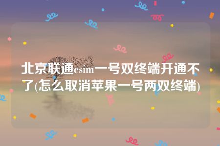 北京联通esim一号双终端开通不了(怎么取消苹果一号两双终端)