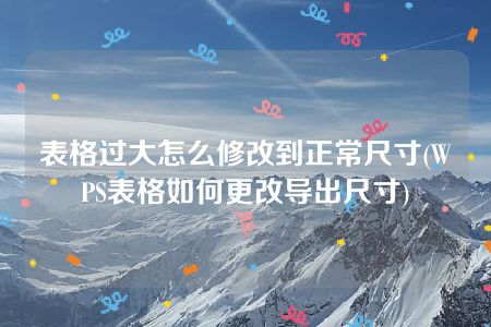 表格过大怎么修改到正常尺寸(WPS表格如何更改导出尺寸)