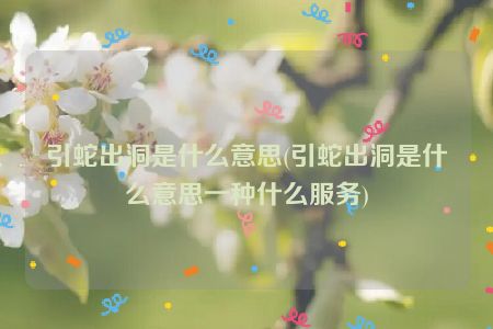 引蛇出洞是什么意思(引蛇出洞是什么意思一种什么服务)