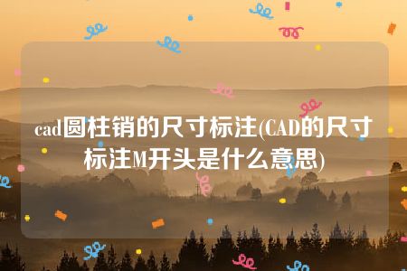 cad圆柱销的尺寸标注(CAD的尺寸标注M开头是什么意思)