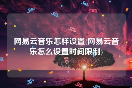 网易云音乐怎样设置(网易云音乐怎么设置时间限制)