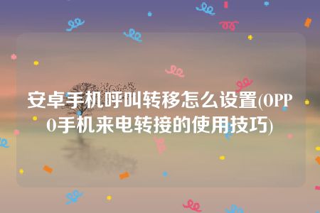 安卓手机呼叫转移怎么设置(OPPO手机来电转接的使用技巧)