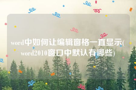 word中如何让编辑窗格一直显示(word2010窗口中默认有哪些)