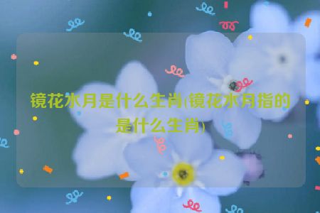 镜花水月是什么生肖(镜花水月指的是什么生肖)