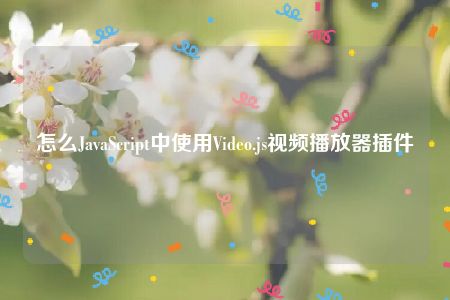 怎么JavaScript中使用Video.js视频播放器插件