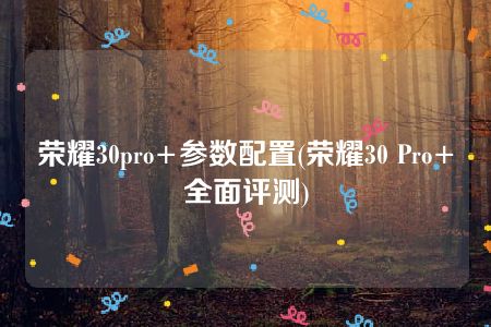 荣耀30pro+参数配置(荣耀30 Pro+全面评测)