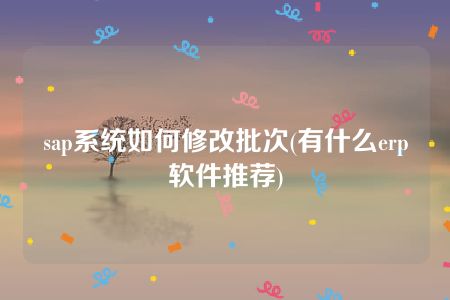 sap系统如何修改批次(有什么erp软件推荐)