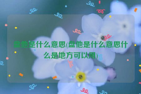 盘他是什么意思(盘他是什么意思什么是地方可以用)