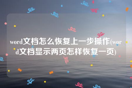 word文档怎么恢复上一步操作(word文档显示两页怎样恢复一页)