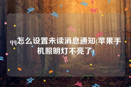 qq怎么设置未读消息通知(苹果手机照明灯不亮了)