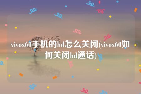 vivox60手机的hd怎么关闭(vivox60如何关闭hd通话)