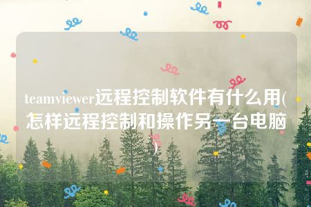 teamviewer远程控制软件有什么用(怎样远程控制和操作另一台电脑)