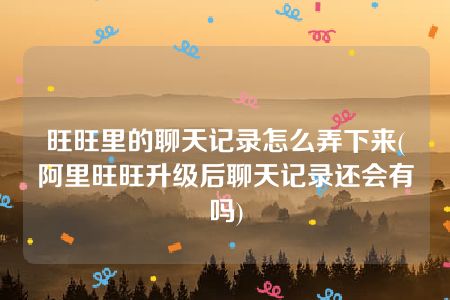 旺旺里的聊天记录怎么弄下来(阿里旺旺升级后聊天记录还会有吗)