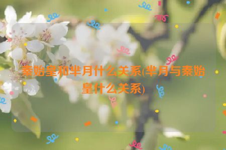 秦始皇和芈月什么关系(芈月与秦始皇什么关系)