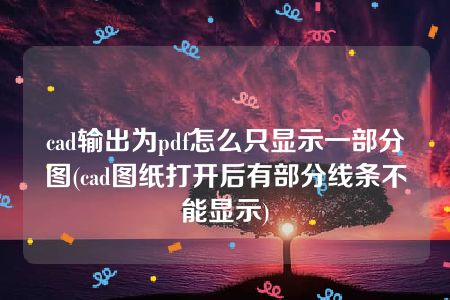 cad输出为pdf怎么只显示一部分图(cad图纸打开后有部分线条不能显示)