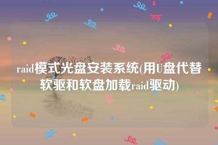 raid模式光盘安装系统(用U盘代替软驱和软盘加载raid驱动)