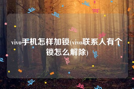 vivo手机怎样加锁(vivo联系人有个锁怎么解除)