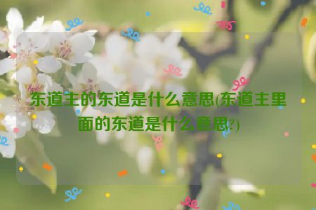 东道主的东道是什么意思(东道主里面的东道是什么意思?)