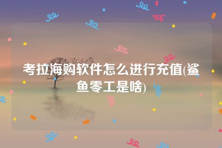 考拉海购软件怎么进行充值(鲨鱼零工是啥)