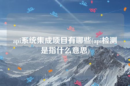 api系统集成项目有哪些(api检测是指什么意思)