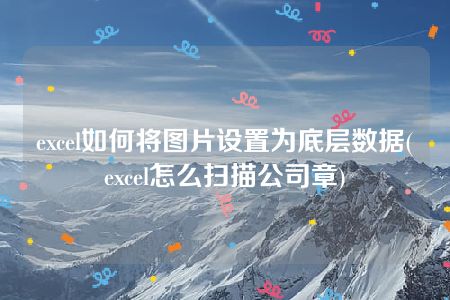 excel如何将图片设置为底层数据(excel怎么扫描公司章)