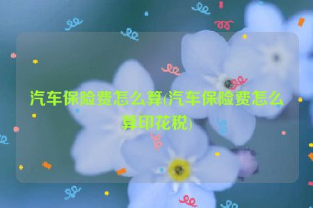 汽车保险费怎么算(汽车保险费怎么算印花税)