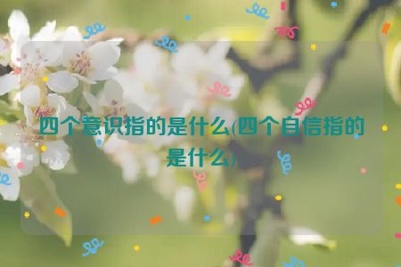 四个意识指的是什么(四个自信指的是什么)