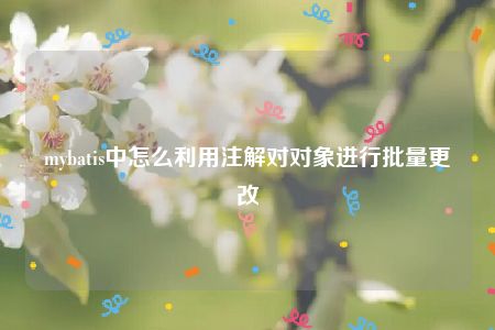 mybatis中怎么利用注解对对象进行批量更改