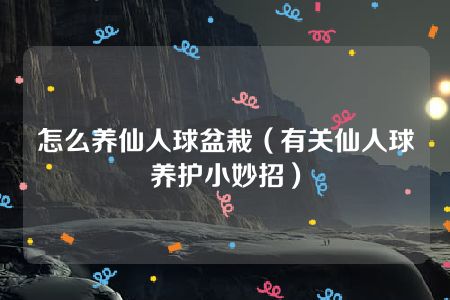 怎么养仙人球盆栽（有关仙人球养护小妙招）