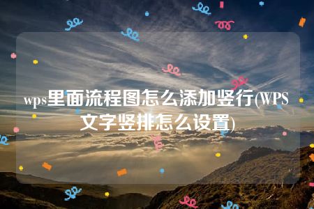 wps里面流程图怎么添加竖行(WPS文字竖排怎么设置)