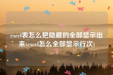 excel表怎么把隐藏的全部显示出来(excel怎么全部显示行次)