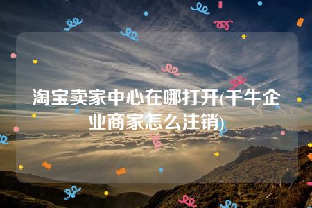 淘宝卖家中心在哪打开(千牛企业商家怎么注销)