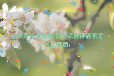 洒家是什么意思(鲁智深自称洒家是什么意思)