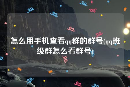 怎么用手机查看qq群的群号(qq班级群怎么看群号)