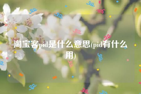 淘宝客pid是什么意思(pid有什么用)