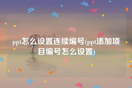 ppt怎么设置连续编号(ppt添加项目编号怎么设置)