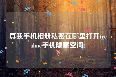 真我手机相册私密在哪里打开(realme手机隐藏空间)