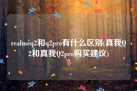 realmeq2和q2pro有什么区别(真我Q2和真我Q2pro购买建议)