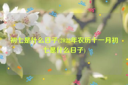 初七是什么日子(2022年农历十一月初七是什么日子)