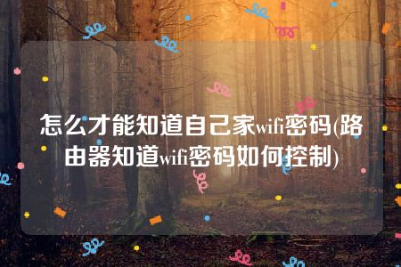 怎么才能知道自己家wifi密码(路由器知道wifi密码如何控制)