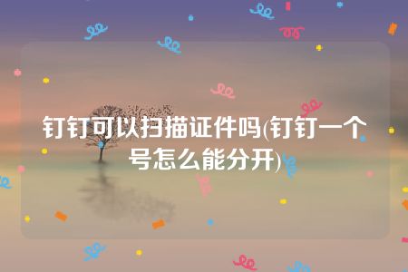 钉钉可以扫描证件吗(钉钉一个号怎么能分开)