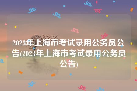 2023年上海市考试录用公务员公告(2023年上海市考试录用公务员公告)