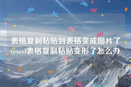 表格复制粘贴到表格变成图片了(excel表格复制粘贴变形了怎么办)