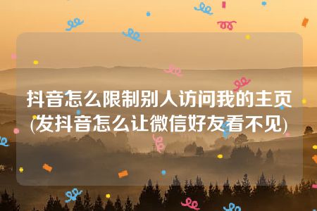 抖音怎么限制别人访问我的主页(发抖音怎么让微信好友看不见)