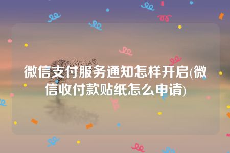 微信支付服务通知怎样开启(微信收付款贴纸怎么申请)