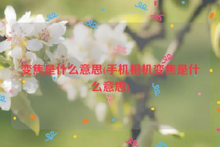 变焦是什么意思(手机相机变焦是什么意思)