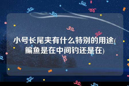 小号长尾夹有什么特别的用途(鳊鱼是在中间钓还是在)